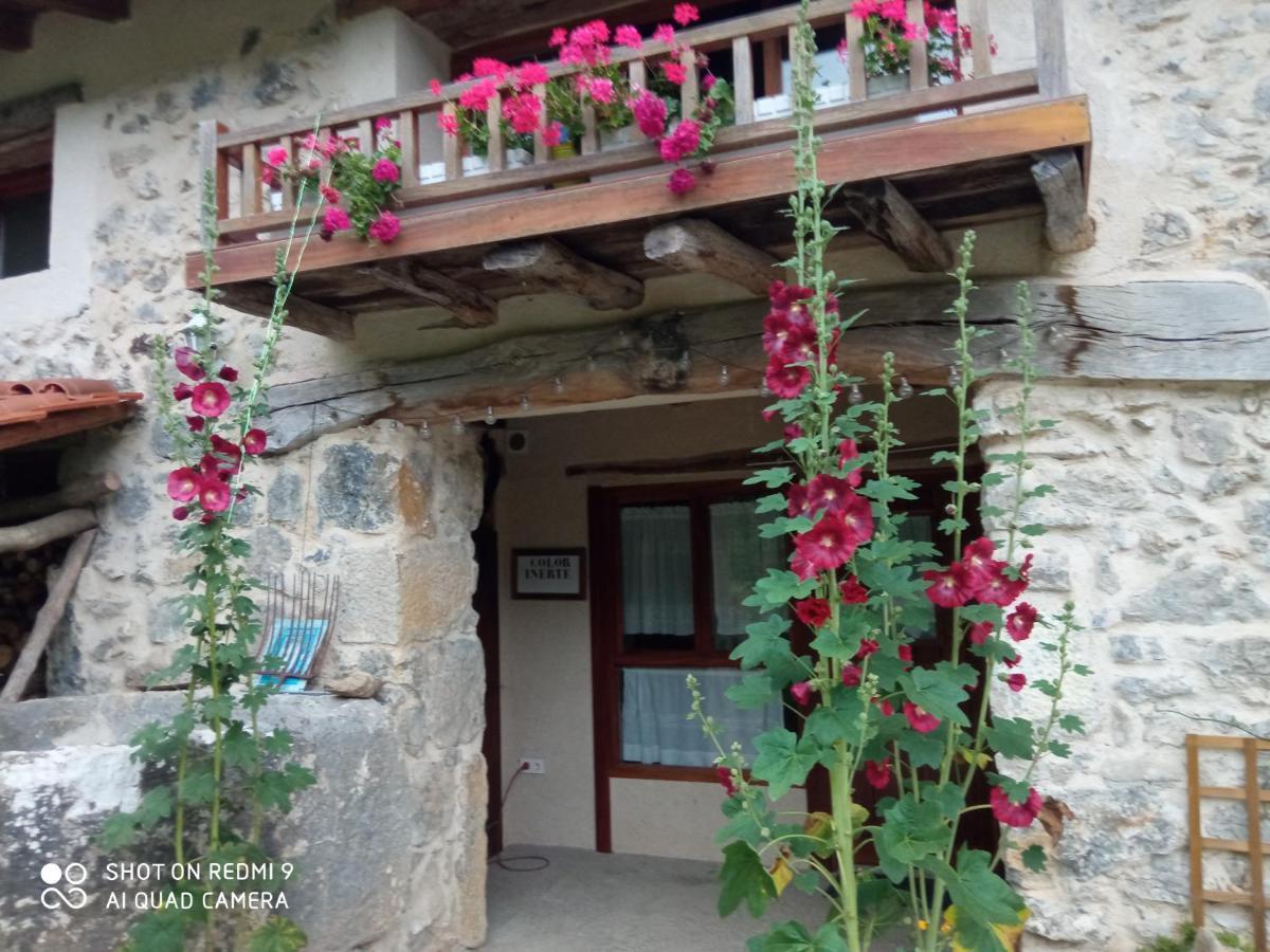 Belaustegi Turismo Rural Ispaster Екстер'єр фото