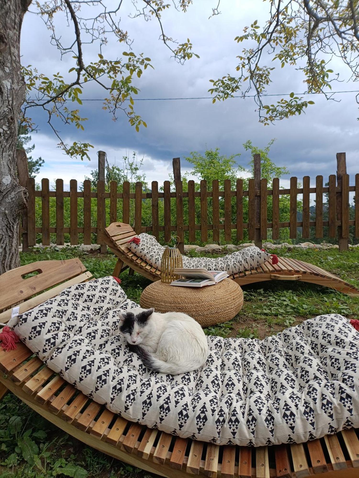 Belaustegi Turismo Rural Ispaster Екстер'єр фото